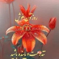 نیازمند  مشاور املاک با کمسیون ۵۰ درصد