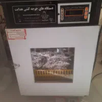 دستگاه جوجه کشی