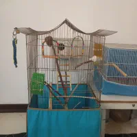 قفس بزرگ و قفس کوچک سالم