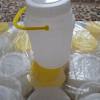 ظرف ماست|ظروف نگهدارنده، پلاستیکی، یک‌بارمصرف|تهران, دولاب|دیوار