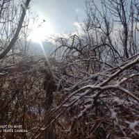 ویلا در سعادت آباد بروجرد|فروش خانه و ویلا|بروجرد, |دیوار