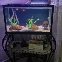 اکواریوم و میز اکواریوم