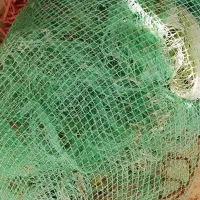 جل پو و تخته جل و بند