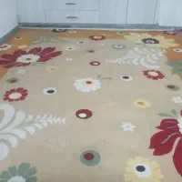 گلیم‌فرش‌نو|گلیم، جاجیم، گبه|دهلران, |دیوار