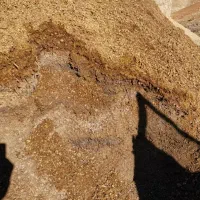 کود حیوانی با خاور