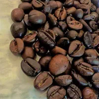 دانه قهوه بهترین در شیراز