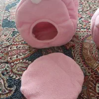 مخفیگاه پرنده