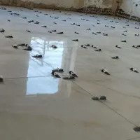 کاشیکاری و و موزاییک و نما با سرامیک