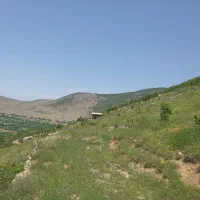 فروش زمین واقع در لرگان نقد و اقساط|فروش زمین و ملک کلنگی|کجور, |دیوار