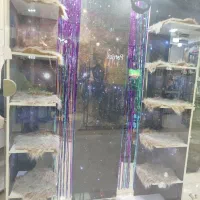 ویترین،قفسه