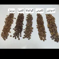 پخش قهوه|کافیشاپ و رستوران|اردبیل, |دیوار