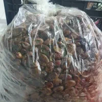 خرمای بدون هسته و مویز|خوردنی و آشامیدنی|شیراز, ریشمک|دیوار