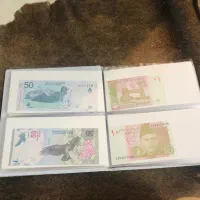 آلبوم اسکناس کلکسیونی|کلکسیون سکه، تمبر، اسکناس|همدان, |دیوار