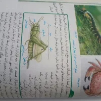 150هزار رایگان