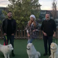 کارگر مجموعه پانسیون تربیت سگ