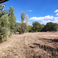 فروش-باغ-و-زمین-کشاورزی-در-شهر-هیدج