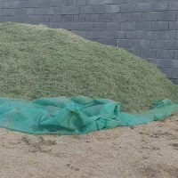 فروش یونجه ساق باریک خرد شده در روانسر