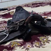 زین و رکاب اسب|اسب و تجهیزات اسب‌سواری|مرودشت, رودبال|دیوار