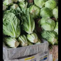 پخش میوه و صیفی جات|خدمات پذیرایی، مراسم|تهران, میدان میوه و ترهبار مرکزی|دیوار