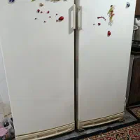 یخچال ۲ قلو مدلforst