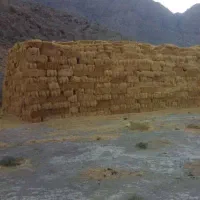 فروش سیفال گندم (کاه گندم)