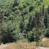 ویوی‌ ابدی رود و جنگل دسترسی مناسب به تهران|فروش زمین و ملک کلنگی|قائم‌شهر, |دیوار