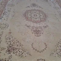 فرش ۶ متری|فرش|رشت, دروازه لاکان|دیوار