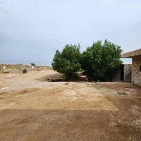 فروش مرغدا ری ۲۰ هزارتایی|فروش دفتر صنعتی، کشاورزی، تجاری|اهواز, کمپلو شمالی|دیوار