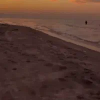 نوشتن انواع مقاله و تحقیق با نازل‌ترین قیمت