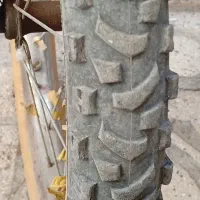 کفش|کیف، کفش، کمربند|سنقر, |دیوار