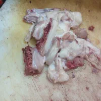 ضایئات مرغ برای سگ و گربه