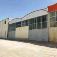 سوله آخولا سیلیس