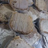 عسل طبیعی ۲۹۰ هزار|خوردنی و آشامیدنی|محمدیه-قزوین, |دیوار