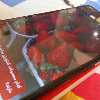گوشی a3 redmi|موبایل|تهران, تهرانپارس شرقی|دیوار