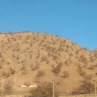 فروش‌ حواله