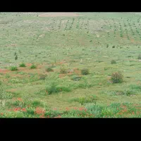 زمین فروشی ارتفاعات هاشمیه|فروش زمین و ملک کلنگی|مشهد, نیروی هوایی|دیوار