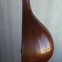 سه تار سارا حرفه ای|سازهای سنتی|تبریز, |دیوار