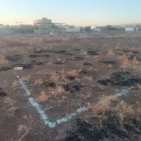 ۲۳۰متر  باغچه بان  کوچه روبروی آراسته ۸