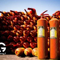 کپسول و تجهیزات آتش نشانی