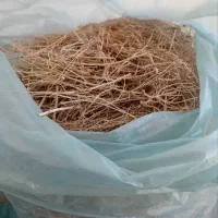 سیخ آویشن مناسب دمنوش و عرق گیری
