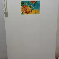 فریزر تک دیجیتالی آزمایش موتور  دانفوس درحدنو