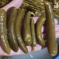 پخش خیارشور وترشی خانگی