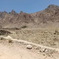 فروش-زمین-گل-افشان