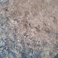 کود حیوانی (پین)فروشی