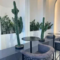 اجرای پتینه کلاسیک و مدرن