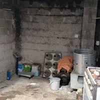 دستگاه پرکن بلدرچین ۲۰ عددی
