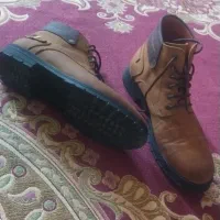 cat|کیف، کفش، کمربند|فورگ, |دیوار