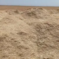 کاه دیمه