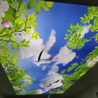 سقف کشسان اسمان مجازی سقف استخر کناف،لابل،لاکر