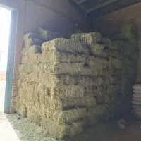 یونجه|لوازم جانبی حیوانات|پیر سلیمان, |دیوار